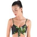 Drink Spinach Smooth Apple Ginger Woven Tie Front Bralet View1