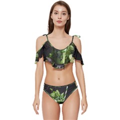 Drink Spinach Smooth Apple Ginger Ruffle Edge Tie Up Bikini Set	 by Ndabl3x