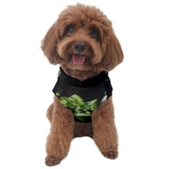 Drink Spinach Smooth Apple Ginger Dog Sweater by Ndabl3x