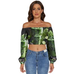 Drink Spinach Smooth Apple Ginger Long Sleeve Crinkled Weave Crop Top by Ndabl3x