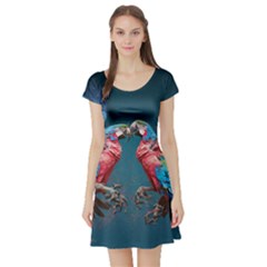 Birds Parrots Love Ornithology Species Fauna Short Sleeve Skater Dress by Ndabl3x