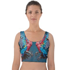 Birds Parrots Love Ornithology Species Fauna Velvet Crop Top by Ndabl3x