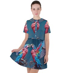 Birds Parrots Love Ornithology Species Fauna Short Sleeve Shoulder Cut Out Dress  by Ndabl3x