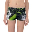 Waterfall Moss Korea Mountain Valley Green Forest Reversible Boyleg Bikini Bottoms View3