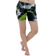 Waterfall Moss Korea Mountain Valley Green Forest Lightweight Velour Yoga Shorts by Ndabl3x