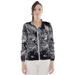 Angry Male Lion Roar Women s Windbreaker by Wav3s