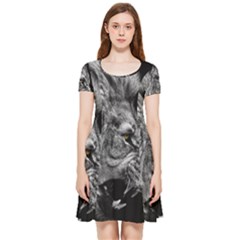 Angry Male Lion Roar Inside Out Cap Sleeve Dress by Wav3s