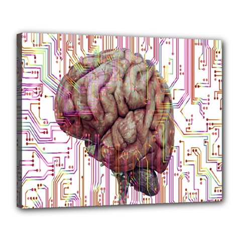 Brain Think Neurons Circuit Canvas 20  X 16  (stretched) by Wav3s