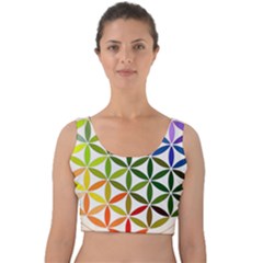 Mandala Rainbow Colorful Velvet Crop Top