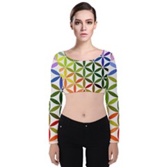 Mandala Rainbow Colorful Velvet Long Sleeve Crop Top by Ndabl3x