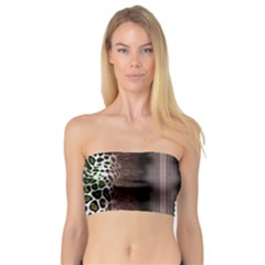 Leopard Animal Shawl Honeycomb Bandeau Top by Vaneshop