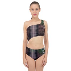 Leopard Animal Shawl Honeycomb Spliced Up Two Piece Swimsuit by Vaneshop