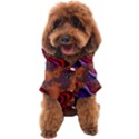 Colorful Piece Abstract Dog Coat View1