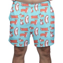 Corgis On Teal Men s Shorts