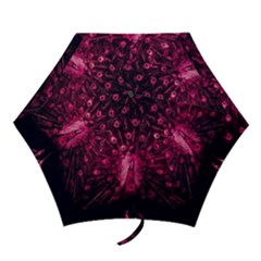 Peacock Pink Black Feather Abstract Mini Folding Umbrellas by Wav3s