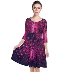 Peacock Pink Black Feather Abstract Quarter Sleeve Waist Band Dress by Wav3s