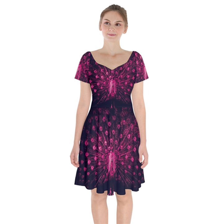 Peacock Pink Black Feather Abstract Short Sleeve Bardot Dress