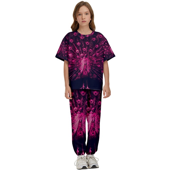 Peacock Pink Black Feather Abstract Kids  Tee and Pants Sports Set