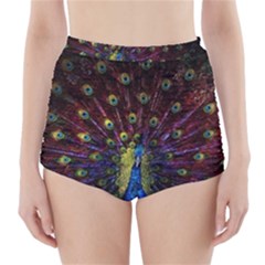 Peacock Feathers High-waisted Bikini Bottoms by Wav3s