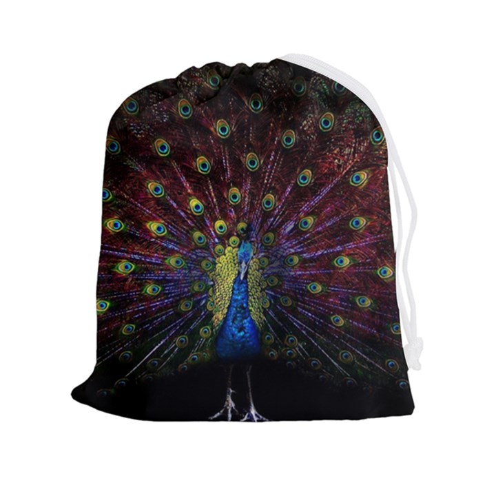 Peacock Feathers Drawstring Pouch (2XL)