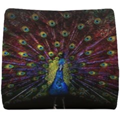 Peacock Feathers Seat Cushion