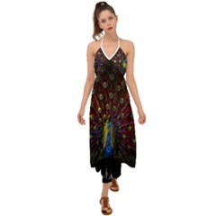 Peacock Feathers Halter Tie Back Dress  by Wav3s