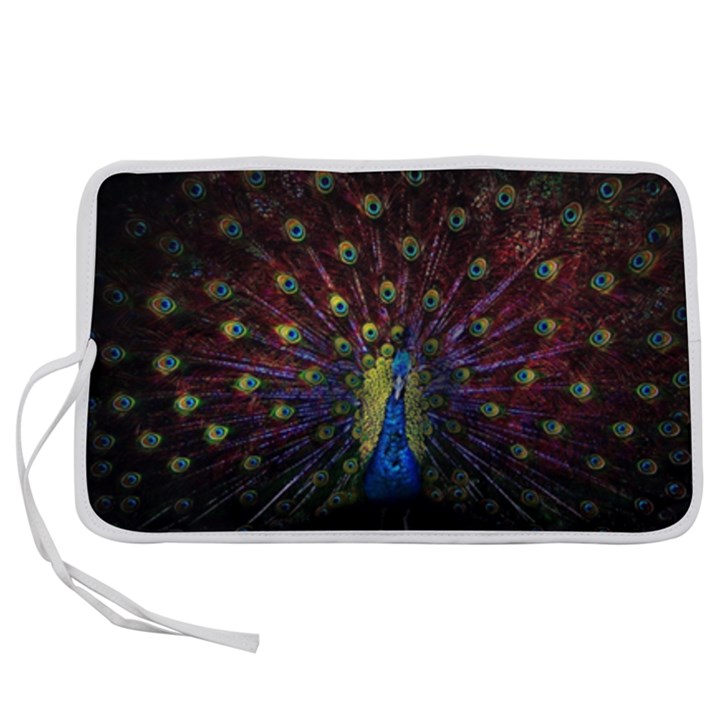 Peacock Feathers Pen Storage Case (M)