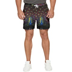 Peacock Feathers Men s Runner Shorts by Wav3s