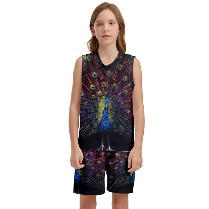 Peacock Feathers Kids  Basketball Mesh Set