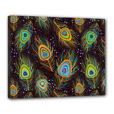 Pattern Feather Peacock Canvas 20  X 16  (stretched)