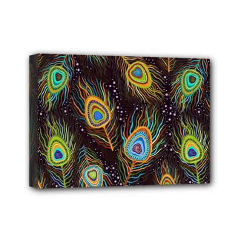 Pattern Feather Peacock Mini Canvas 7  X 5  (stretched) by Wav3s