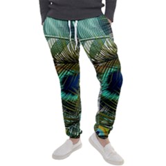 Peacock Feathers Blue Green Texture Men s Jogger Sweatpants