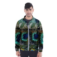 Peacock Feathers Blue Green Texture Men s Windbreaker