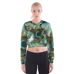 Peacock Feathers Blue Green Texture Cropped Sweatshirt