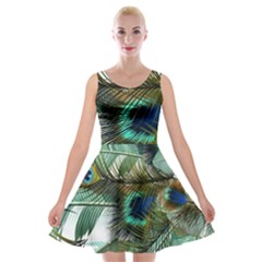 Peacock Feathers Blue Green Texture Velvet Skater Dress