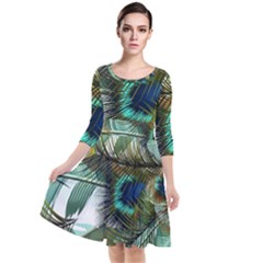 Peacock Feathers Blue Green Texture Quarter Sleeve Waist Band Dress by Wav3s