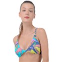 Dinosaur Pattern Knot Up Bikini Top View1