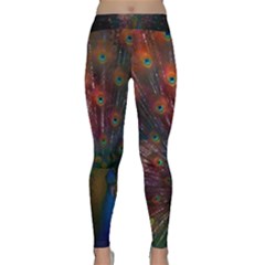 Red Peacock Feather Classic Yoga Leggings by Cowasu