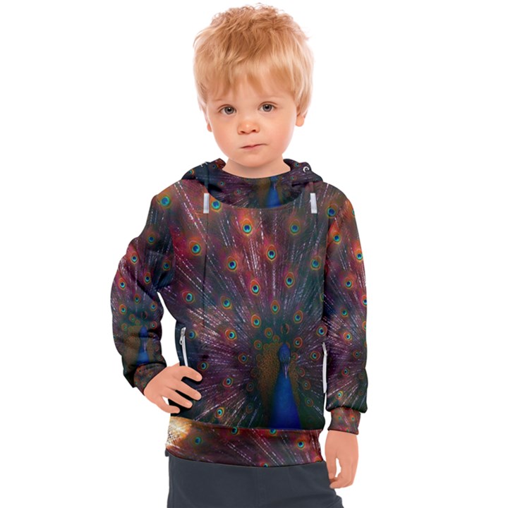 Red Peacock Feather Kids  Hooded Pullover