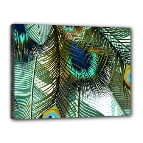 Peacock Feathers Feather Blue Green Canvas 16  X 12  (stretched) by Cowasu