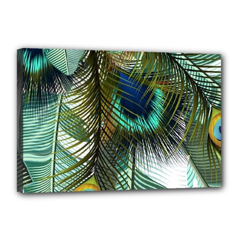 Peacock Feathers Feather Blue Green Canvas 18  X 12  (stretched) by Cowasu