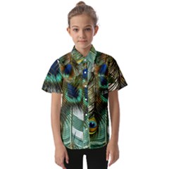 Peacock Feathers Feather Blue Green Kids  Short Sleeve Shirt by Cowasu