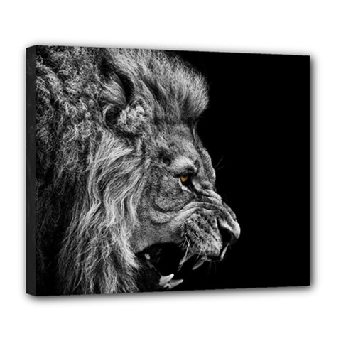 Angry Lion Black And White Deluxe Canvas 24  X 20  (stretched) by Cowasu