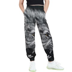 Angry Lion Black And White Kids  Elastic Waist Pants by Cowasu