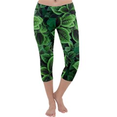 Shanghai Botanical Garden Capri Yoga Leggings by Cowasu