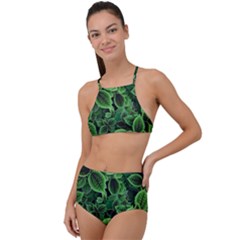 Shanghai Botanical Garden High Waist Tankini Set by Cowasu