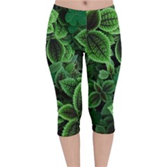 Shanghai Botanical Garden Velvet Capri Leggings  by Cowasu