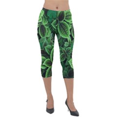 Shanghai Botanical Garden Lightweight Velour Capri Leggings  by Cowasu