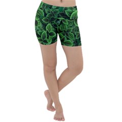 Shanghai Botanical Garden Lightweight Velour Yoga Shorts by Cowasu