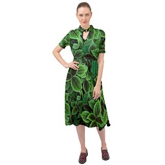 Shanghai Botanical Garden Keyhole Neckline Chiffon Dress by Cowasu